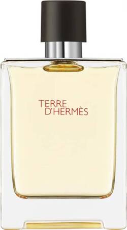 Hermes Terre D'Hermes 100ml  woda toaletowa [M] TESTER